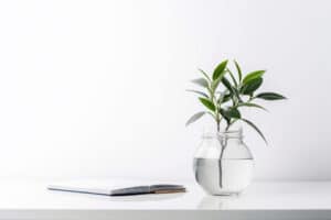 Limpieza profesional Leader Clean Baix Llobregat - oficinas