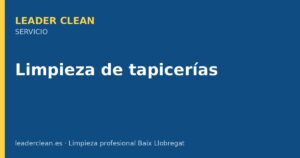 Leader Clean limpieza profesional limpieza tapicerias